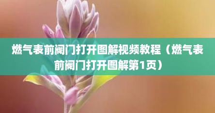 燃气表前阀门打开图解视频教程（燃气表前阀门打开图解第1页）