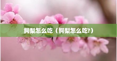 鳄梨怎么吃（鳄梨怎么吃?）