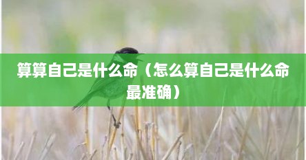 算算自己是什么命（怎么算自己是什么命最准确）