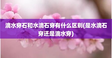 滴水穿石和水滴石穿有什么区别(是水滴石穿还是滴水穿)