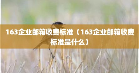 163企业邮箱收费标准（163企业邮箱收费标准是什么）