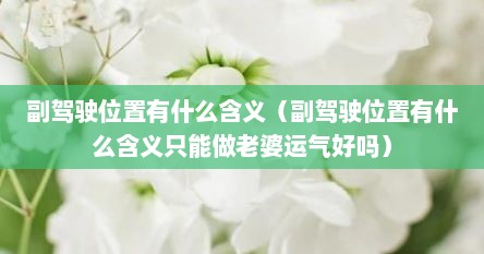 副驾驶位置有什么含义（副驾驶位置有什么含义只能做老婆运气好吗）