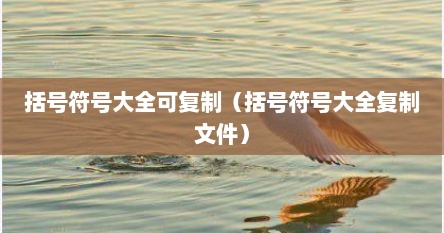 括号符号大全可复制（括号符号大全复制文件）