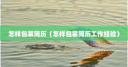 怎样包装简历（怎样包装简历工作经验）