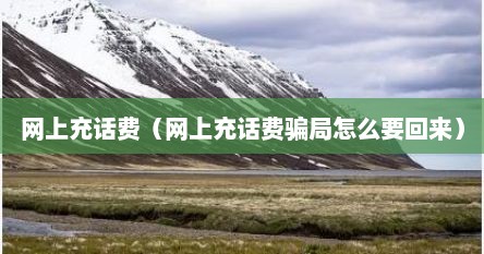 网上充话费（网上充话费骗局怎么要回来）