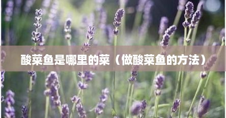 酸菜鱼是哪里的菜（做酸菜鱼的方法）