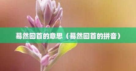 蓦然回首的意思（蓦然回首的拼音）