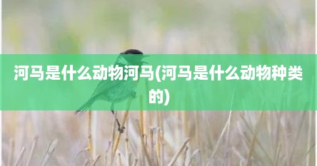 河马是什么动物河马(河马是什么动物种类的)