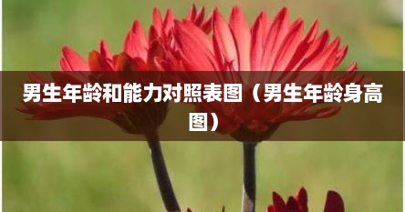 男生年龄和能力对照表图（男生年龄身高图）