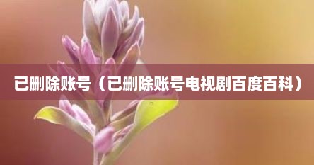 已删除账号（已删除账号电视剧百度百科）