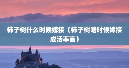 柿子树什么时候嫁接（柿子树啥时候嫁接成活率高）