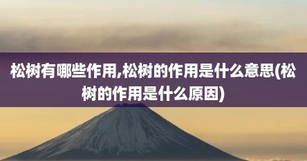 松树有哪些作用,松树的作用是什么意思(松树的作用是什么原因)