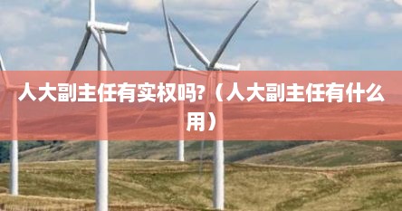 人大副主任有实权吗?（人大副主任有什么用）