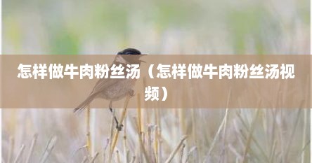 怎样做牛肉粉丝汤（怎样做牛肉粉丝汤视频）