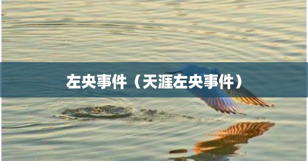 左央事件（天涯左央事件）