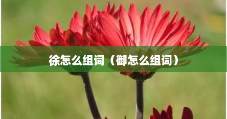 徐怎么组词（御怎么组词）