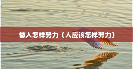 做人怎样努力（人应该怎样努力）