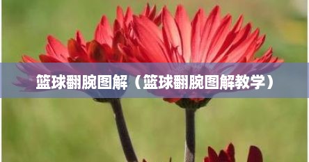 篮球翻腕图解（篮球翻腕图解教学）