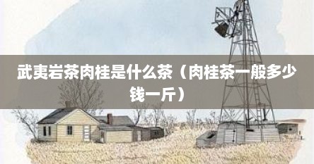 武夷岩茶肉桂是什么茶（肉桂茶一般多少钱一斤）