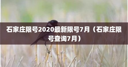 石家庄限号最新限号区域（石家庄限号今日限行查询）