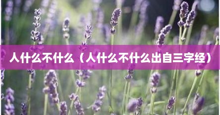 人什么不什么（人什么不什么出自三字经）