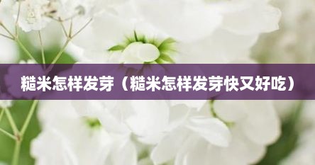 糙米怎样发芽（糙米怎样发芽快又好吃）
