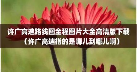 许广高速路线图全程图片大全高清版下载（许广高速指的是哪儿到哪儿啊）
