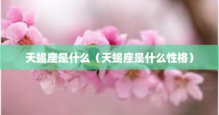 天蝎座是什么（天蝎座是什么性格）
