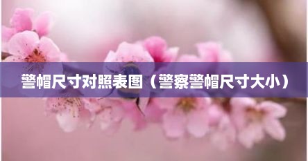 警帽尺寸对照表图（警察警帽尺寸大小）