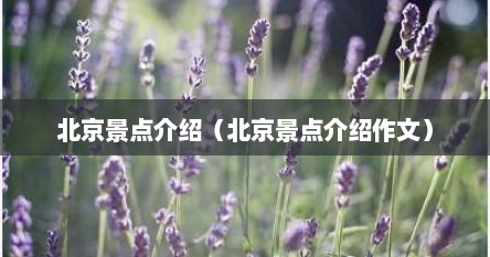 北京景点介绍（北京景点介绍作文）