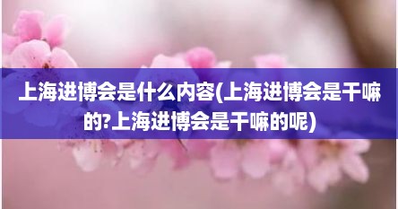 上海进博会是什么内容(上海进博会是干嘛的?上海进博会是干嘛的呢)