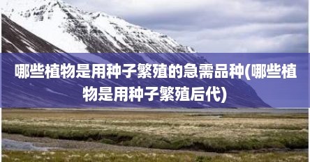 哪些植物是用种子繁殖的急需品种(哪些植物是用种子繁殖后代)