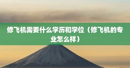 修飞机需要什么学历和学位（修飞机的专业怎么样）