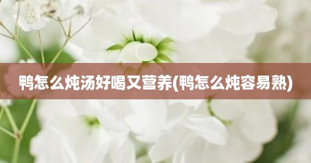 鸭怎么炖汤好喝又营养(鸭怎么炖容易熟)