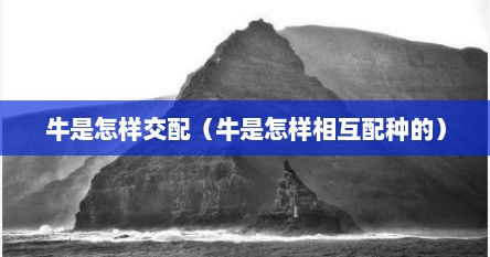 牛是怎样交配（牛是怎样相互配种的）