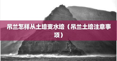 吊兰怎样从土培变水培（吊兰土培注意事项）