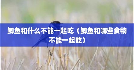 鲫鱼和什么不能一起吃（鲫鱼和哪些食物不能一起吃）