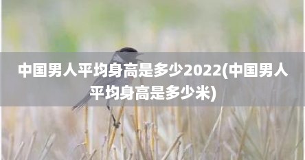 中国男人平均身高是多少2022(中国男人平均身高是多少米)