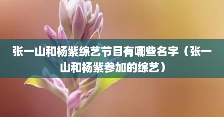 张一山和杨紫综艺节目有哪些名字（张一山和杨紫参加的综艺）