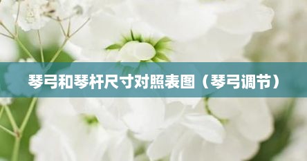 琴弓和琴杆尺寸对照表图（琴弓调节）
