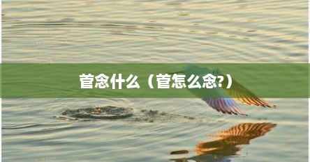 菅念什么（菅怎么念?）