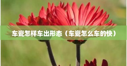 车瓷怎样车出形态（车瓷怎么车的快）