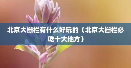 北京大栅栏有什么好玩的（北京大栅栏必吃十大地方）