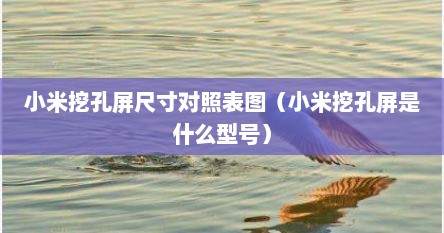 小米挖孔屏尺寸对照表图（小米挖孔屏是什么型号）