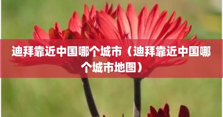 迪拜靠近中国哪个城市（迪拜靠近中国哪个城市地图）