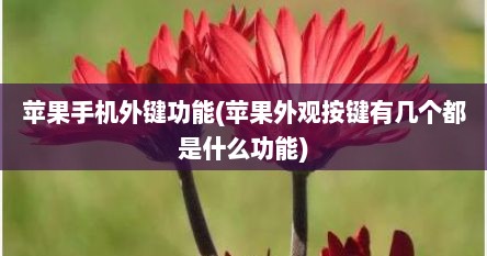 苹果手机外键功能(苹果外观按键有几个都是什么功能)