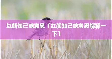 红颜知己啥意思（红颜知己啥意思解释一下）