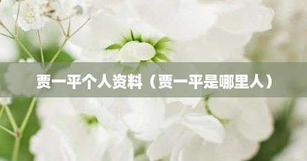 贾一平个人资料（贾一平是哪里人）