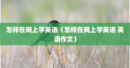 怎样在网上学英语（怎样在网上学英语 英语作文）