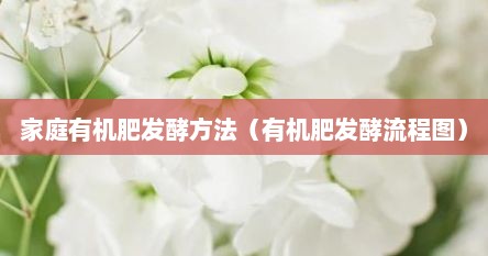 家庭有机肥发酵方法（有机肥发酵流程图）